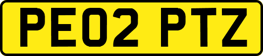 PE02PTZ