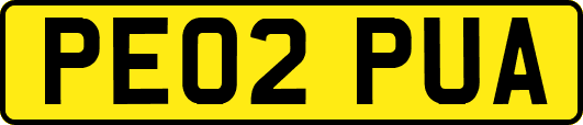 PE02PUA