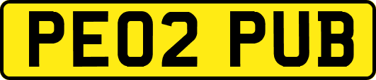 PE02PUB