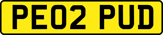 PE02PUD