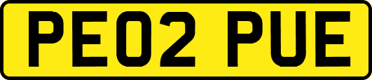 PE02PUE