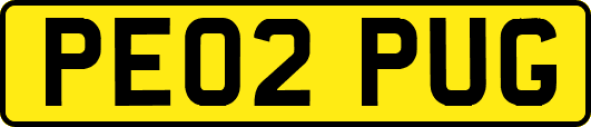 PE02PUG