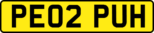 PE02PUH