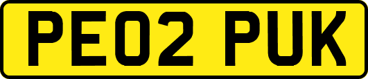 PE02PUK