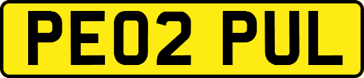 PE02PUL