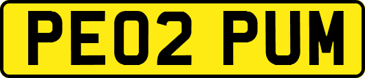 PE02PUM