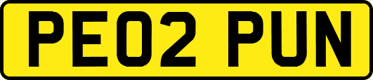 PE02PUN