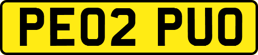 PE02PUO