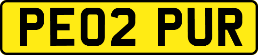 PE02PUR