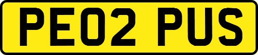 PE02PUS
