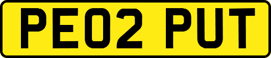 PE02PUT