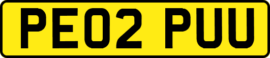 PE02PUU