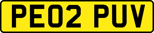 PE02PUV