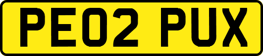 PE02PUX