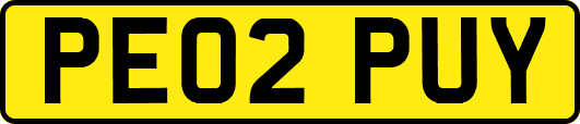 PE02PUY