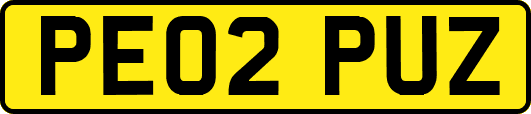 PE02PUZ