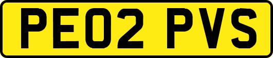 PE02PVS