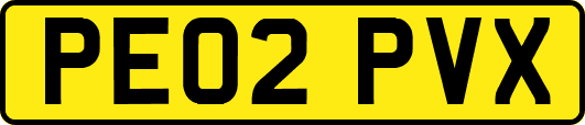PE02PVX
