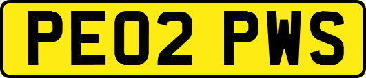 PE02PWS