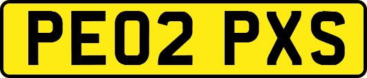 PE02PXS