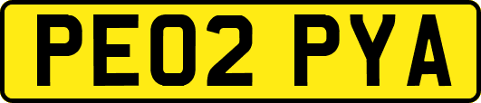 PE02PYA