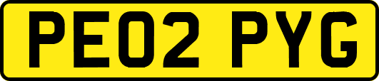 PE02PYG