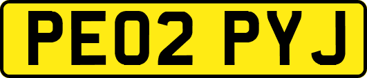 PE02PYJ