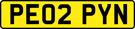 PE02PYN