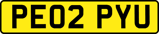 PE02PYU