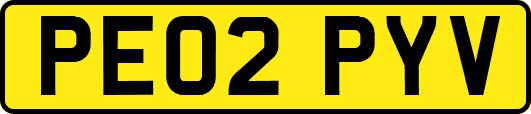 PE02PYV