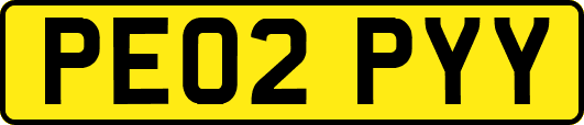 PE02PYY