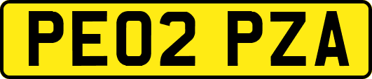 PE02PZA