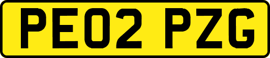PE02PZG