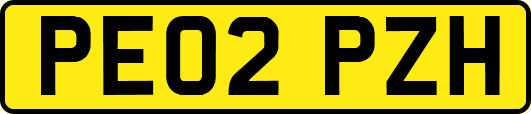 PE02PZH