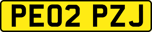 PE02PZJ