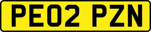 PE02PZN