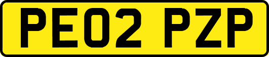PE02PZP