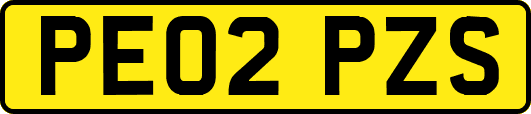 PE02PZS