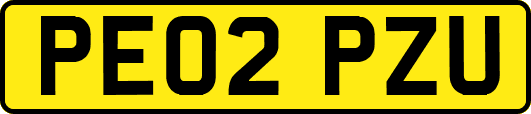 PE02PZU