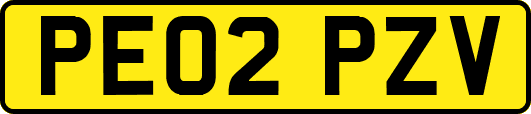 PE02PZV
