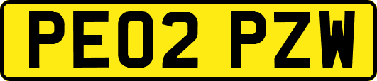 PE02PZW