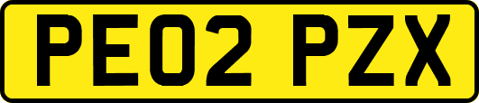 PE02PZX