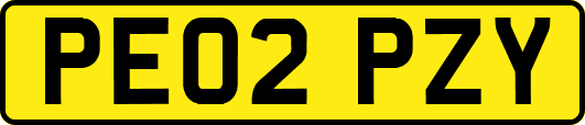 PE02PZY
