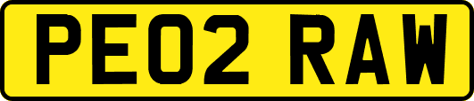 PE02RAW