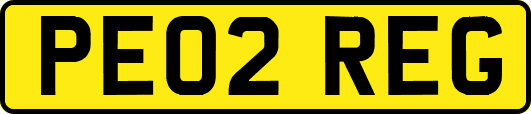 PE02REG