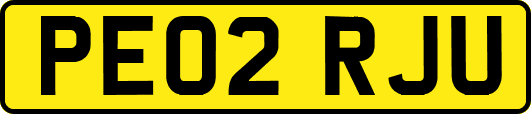 PE02RJU