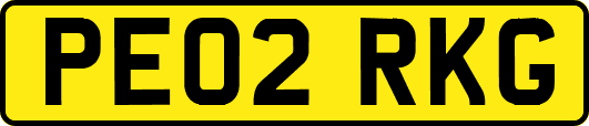 PE02RKG