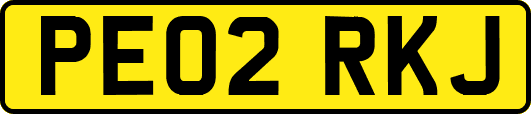 PE02RKJ