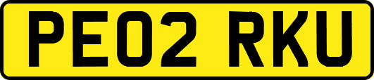 PE02RKU
