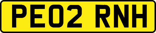 PE02RNH